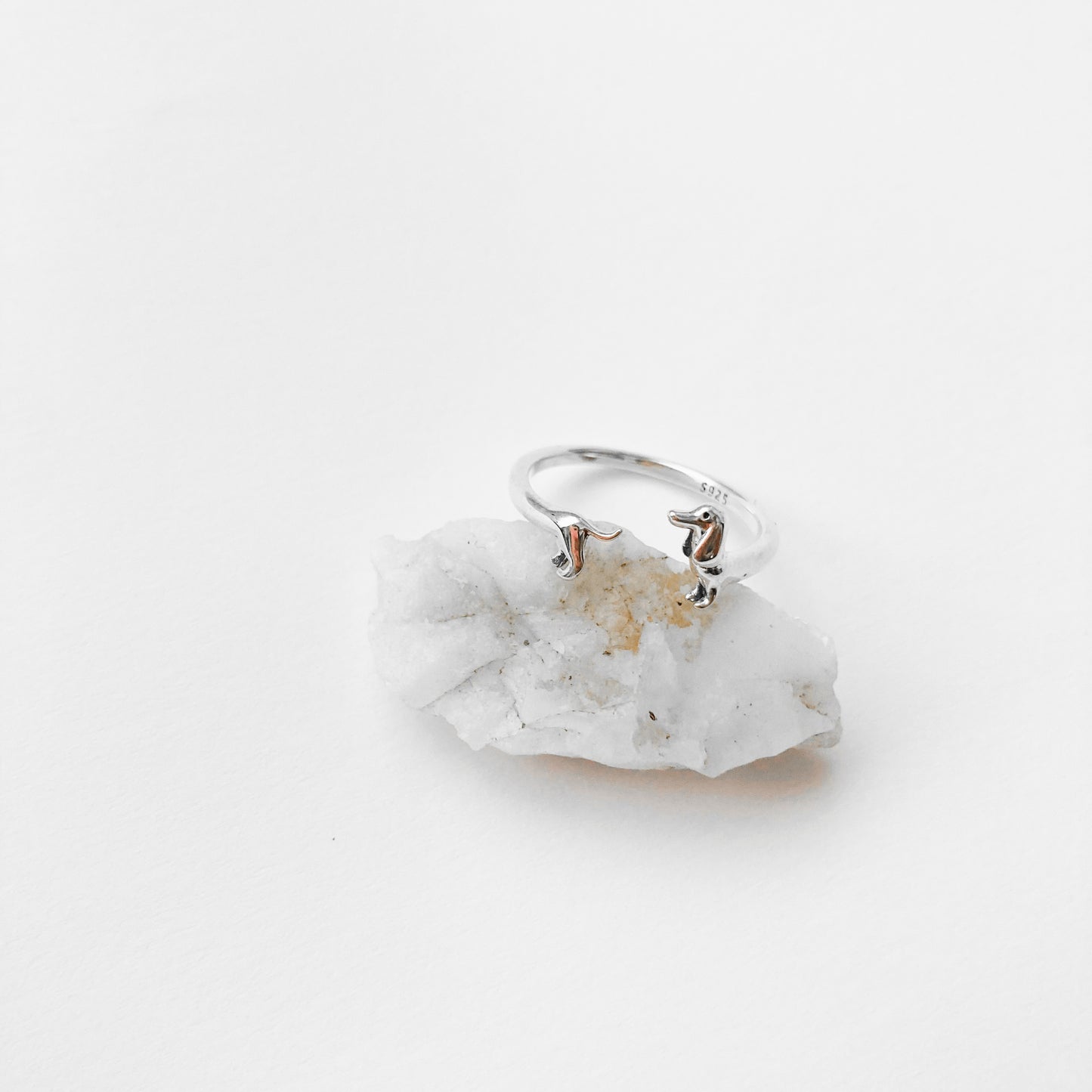 Anillo Perro Salchicha dachshund
