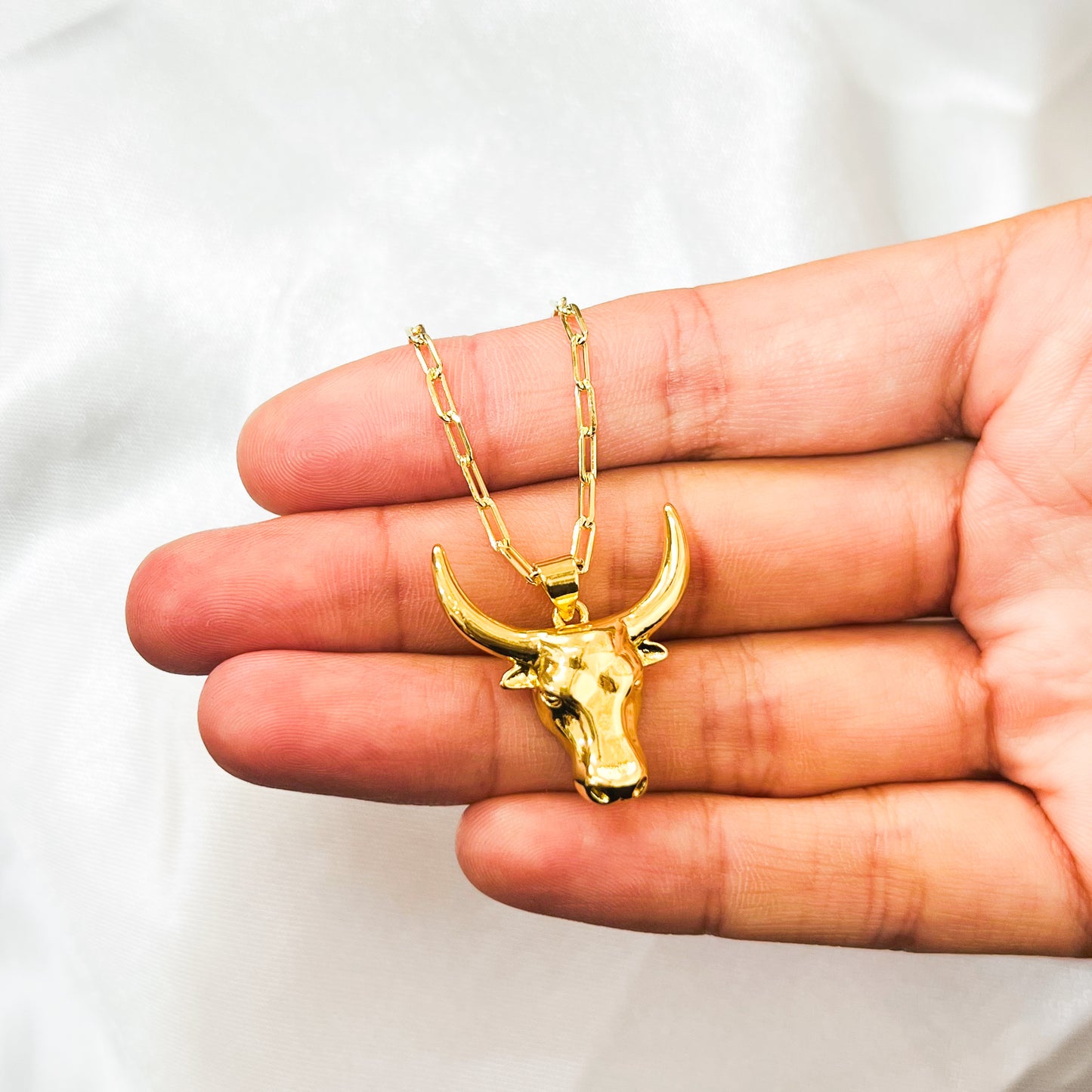 Collar Toro Gold