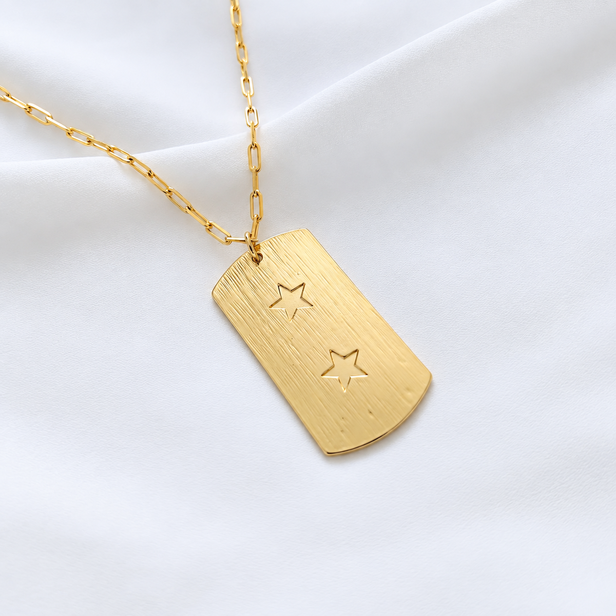 Collar estrella placa